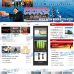 某集团公司整站NET源码