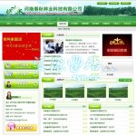 清新绿色企业公司整站源码【NET+ACCESS】
